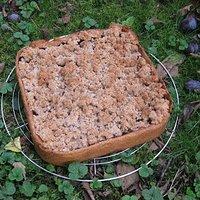 Zwetschgenkuchen