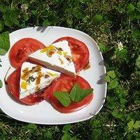 Ziegenkäse-Terrine