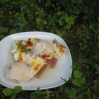 Gundermannsorbet auf Rhabarber-Gratin