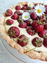 Knusprige Erdbeertarte mit Mandelboden und Schokoladenanstrich und warum selbstgemachter Vanillepudding jede Sekunde Rühren wert ist