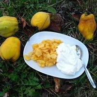 Quitten-Dessert