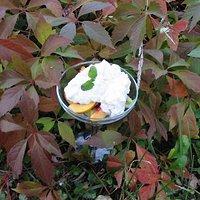 Piña Colada Mousse