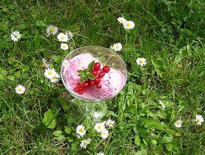 Johannisbeer-Joghurt-Eis