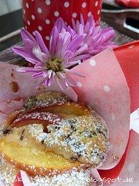 Nektarinen-Muffins