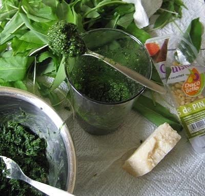 Bärlauch Pesto