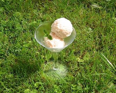 Melonen-Eis