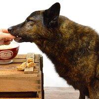 Hundekekse mit Schinken und Käse