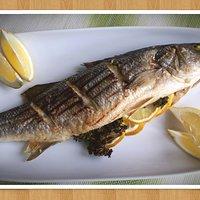 Gegrillter Loup de mer - Wolfsbarsch