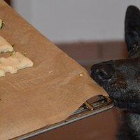 Hundekekse selber backen –  auch als Backmischung im Glas – Leckere Geschenkidee für den Vierbeiner