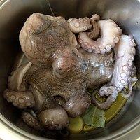 Pulpo, Oktopus vorbereiten