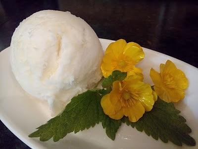Erfrischendes Zitronensorbet ~ Sorbetto di limone