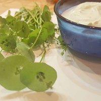 Was koche ich heute? Winterportulaksalat!