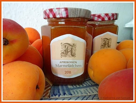 Mein aprikosenmarmelade mit schuss 2018