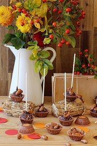 Cake Pops mit gebrannten Mandeln