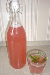 Erfrischend: Rhabarber-Limonade