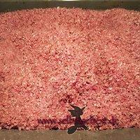 Rotwein-Kräuter-Salz – perfekt für Fleischgerichte