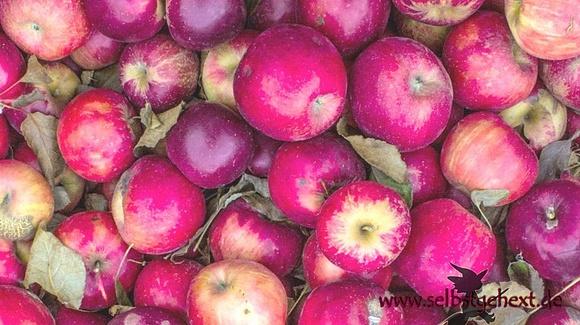 Paradiesäpfel, Liebesapfel, Kandierter Apfel