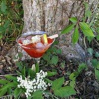 Holunderblüten Negroni