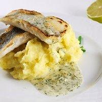 Zander mit Dill-Sauce und Erpflpüree