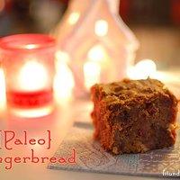 {clean eating} paleo lebkuchen / paleo gingerbread