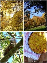Too beautiful: Sauerkraut-Fencheltarte