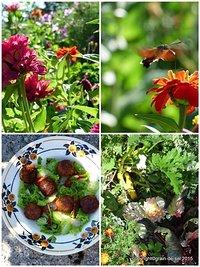Wunderfitzig: Zucchini-Falafel