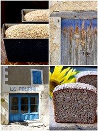 Richtig abgekupfert: Roggenschrotbrot mit Sonnenblumen