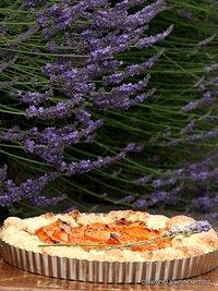 Aprikosentarte mit Lavendel zum Dritten