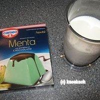 Soylent green als dessert: minz-schoko-pudding