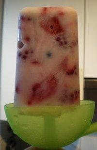 Joghurt-Beeren-Eis