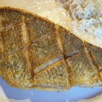 Red Snapper – gebraten
