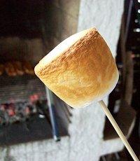 Marshmallow – gegrillt