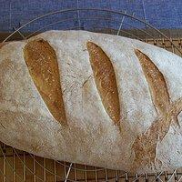 Brotdoc’s Alltagsbrot
