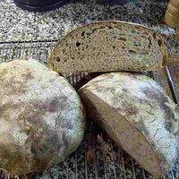 Französisches Landbrot mit Poolish