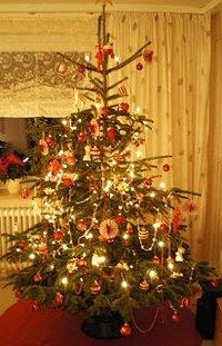 Unser Weihnachtsbaum