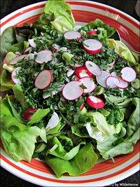 Salatsauce