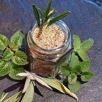 Kräutersalz "Fines ~ Herbes"